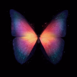 Butterflies And Flower #1/2