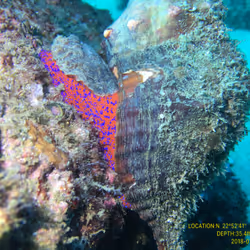 80965803268169370603932631570667161375508893671094224909166964145804133007361