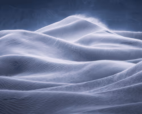 Michael Shainblum Editions