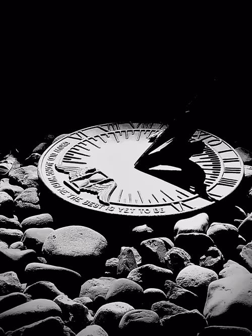 Item #19841423673673061120678522492980359232702795421164906781459419159194417233921 Media