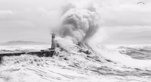 Item #9465970919991825070381387110769562952088497977437425311300914657016259018753 Media