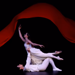 the ballet #4