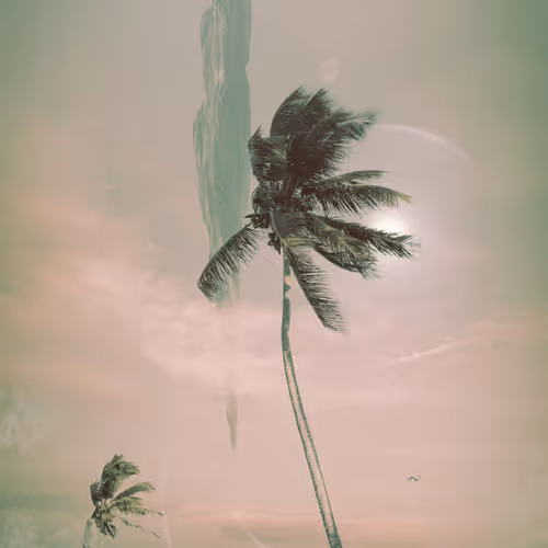 Max Taquet Sceneries And Artworks