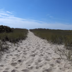 Over the Dunes