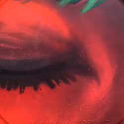 46958899024090373232398737463413705293185688555081041498722300357207247552513