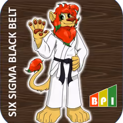 Six Sigma Black Belt Certification #1