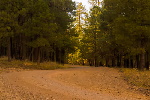 Item #104577317193629277838859014289850954037009501106472948457623431563453971562497 Media