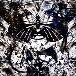 The Social Butterfly