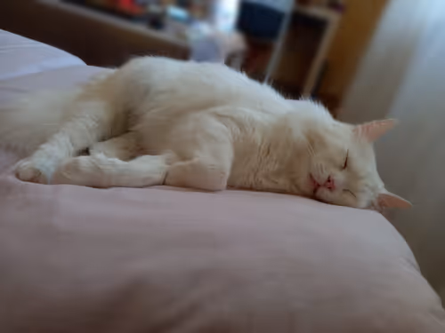 Item #763224073280193224173041358155125596503139434424356380946212135471364964353 Media