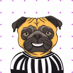 85536923797864075655485684241418953431230894352078393540716038957790262198273