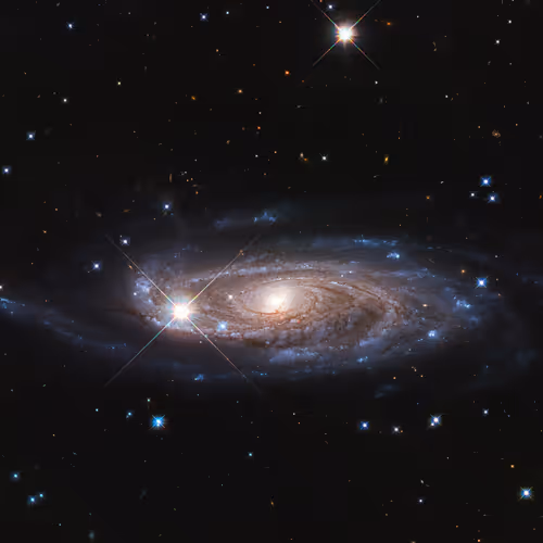 Item #86001380642520711809746068795917912746574378059869332832230730623238981812225 Media