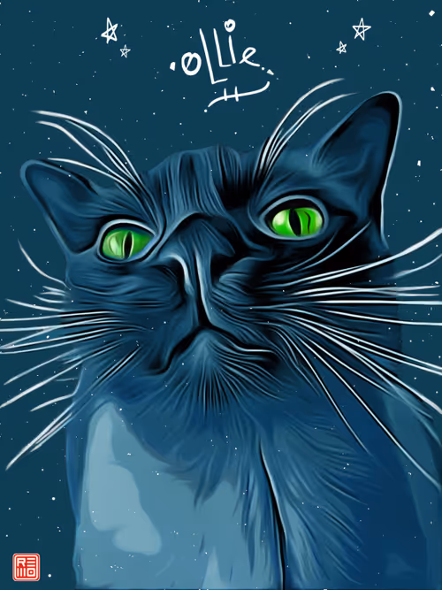 Item #43381229822274282825470726247722996036852230651279113553325937862858172792833 Media