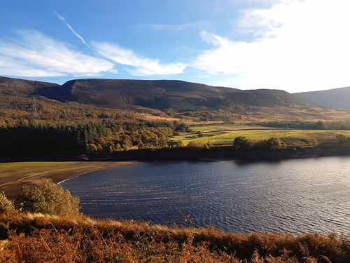 Item #441581999741352139590213475612264394503084995264347299690386677986916040705 Media