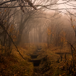 27268559498061748325784621046965527840934976554079147599746578480352280444929