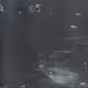 92707845326321046202547621205861172717723438018137550122417728092939256594433