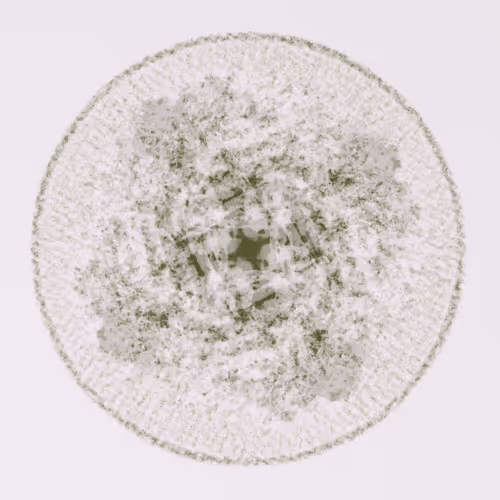 Item #56973419019861600765457047389383188289079904378367063993006434911651796877313 Media