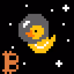 CryptoDucky #15
