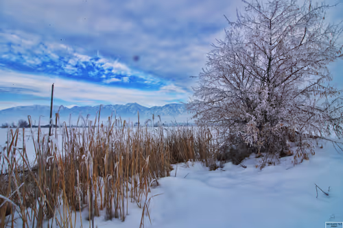 Item #99336931045118591179229277563364267631006438606699611254274404949512847097857 Media