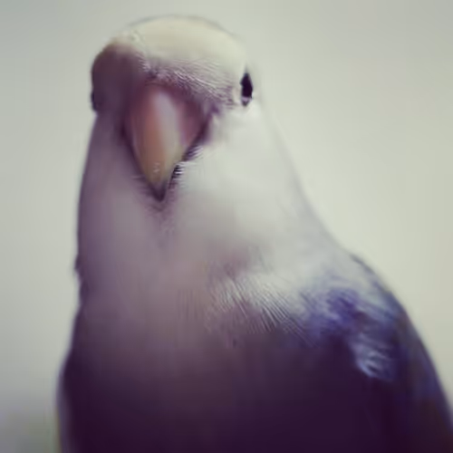 Item #105322358618701185533743754469895824107639028648078310589264470455395387703297 Media