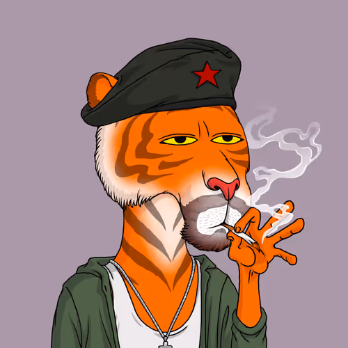Tiger Man