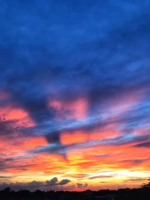 Item #79655167907517619364713975577317788096264741034631426669771217871234777743361 Media