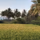 LiveInNature1416 Collection