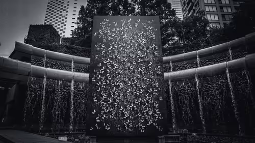 Item #49129412008169772786986690209537281524902027925806806199562930627775119228929 Media