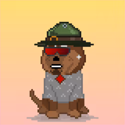 64767305565288697046245167911874832195581738374585436536649294712549779963905