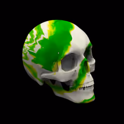 Skulls By Pierre #150