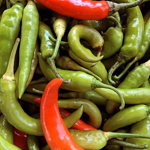 Chili