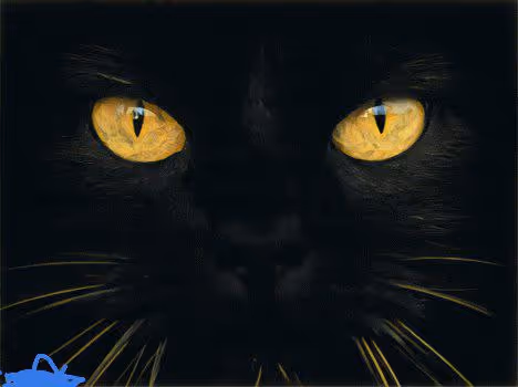 Item #110213645020075302487079303023421545584770299765815398461250951459185134403585 Media