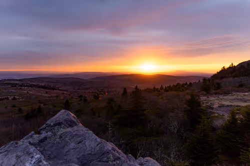 Item #27268559498061748325784621046965527840934976554079147599746578489148373467137 Media