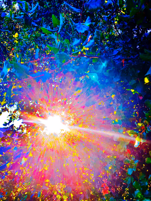 Item #27434377377013038178664737441891876800279773627045091571206927192377236914177 Media