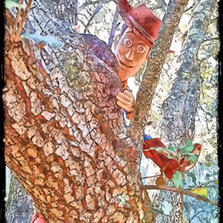 Walking in the trees