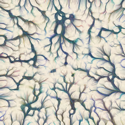 74011109513159304894558377152860080667648997857135590135513699227528480161793