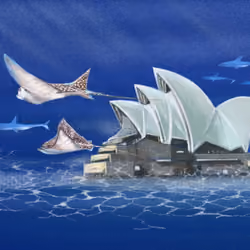  The Submerged  Opera House(Sydney) 