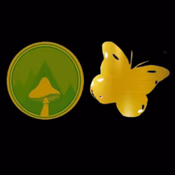 SRM & FGC Collab Token