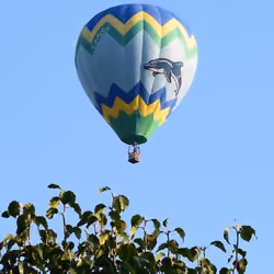 Hot Air
