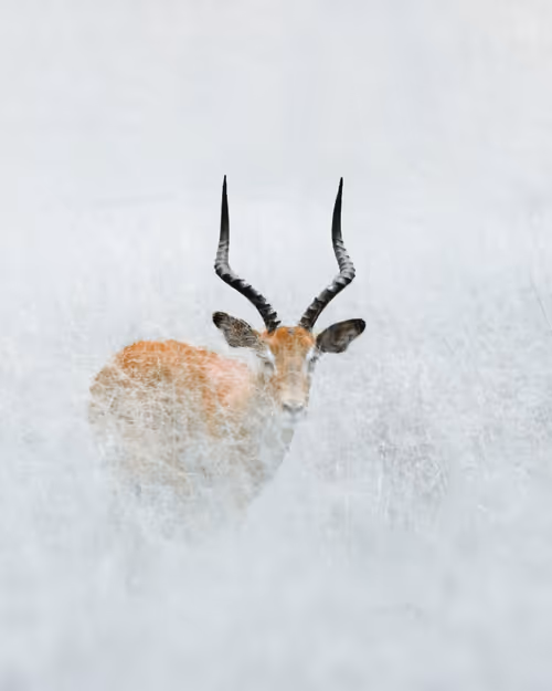 Item #1681200608944986882710212351087985927498901891912841592381619102346809180161 Media