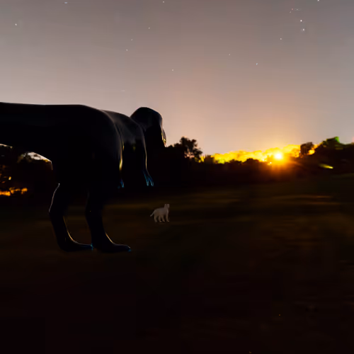 Item #35453504433503050091788931249108516948176190733936491867023685572032936804353 Media