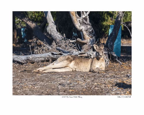 Item #24600310660482288606297797528155087939323639147399647196853483636942237073409 Media