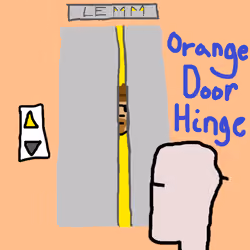 Orange Door Hinge