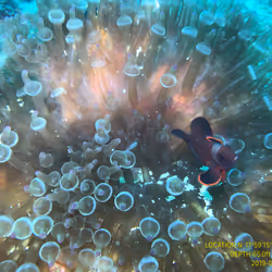 80965803268169370603932631570667161375508893671094224909166964259053830668289