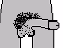 8556061733850570621173106315472467260668083661071942411625168799876484431873