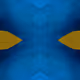 112694338187096677512520828741778326389672714337612276641250161982860397903873