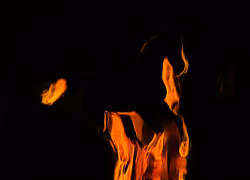 Item #46935663379106642088571545476757153786473481129897181517748081466837961801729 Media