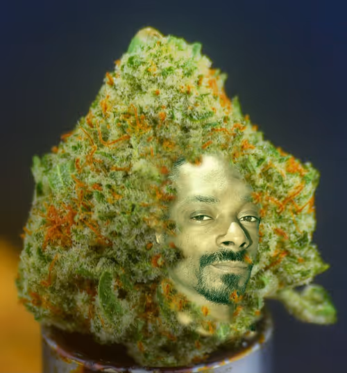 Item #31186953846776644916654461836537312819780745522330041199381679823905427030017 Media