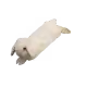 90162937985598353941522276442697634732167472281101088182363716910023647952897