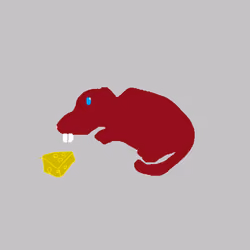 Ratku #46