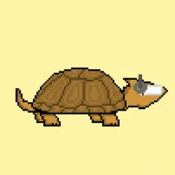 68368698408735247365987675467258475760835663587921114808256067074241614315521